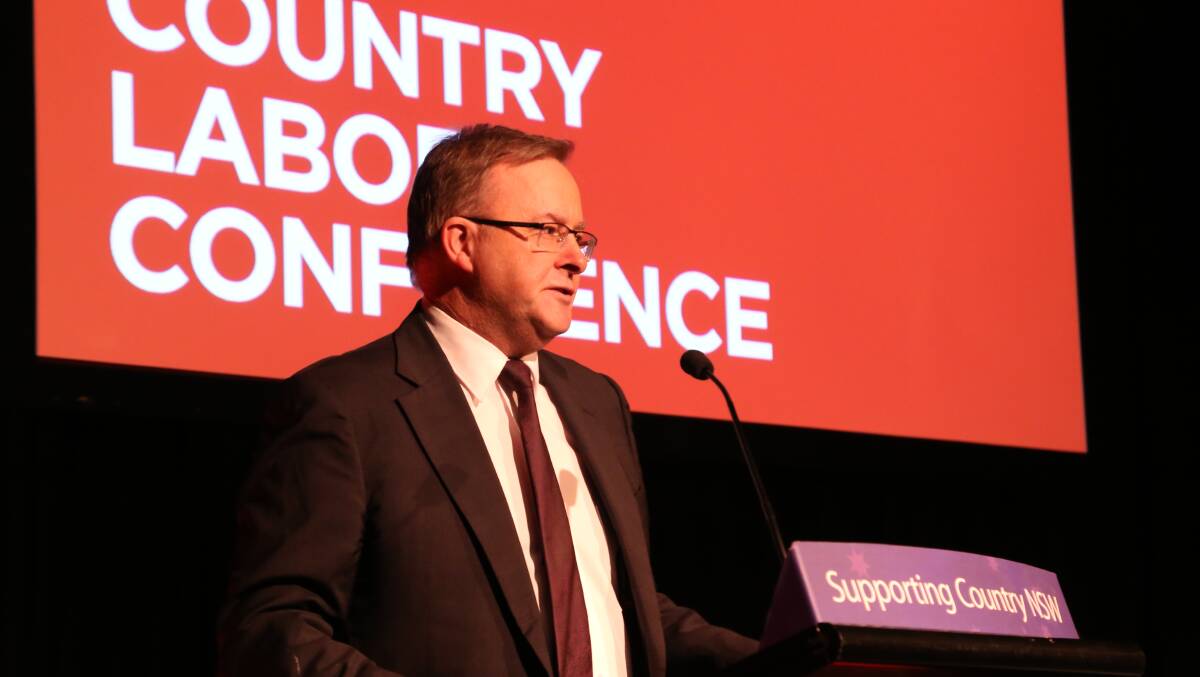 Shadow Transport and Infrastructure Minister Anthony Albanese.