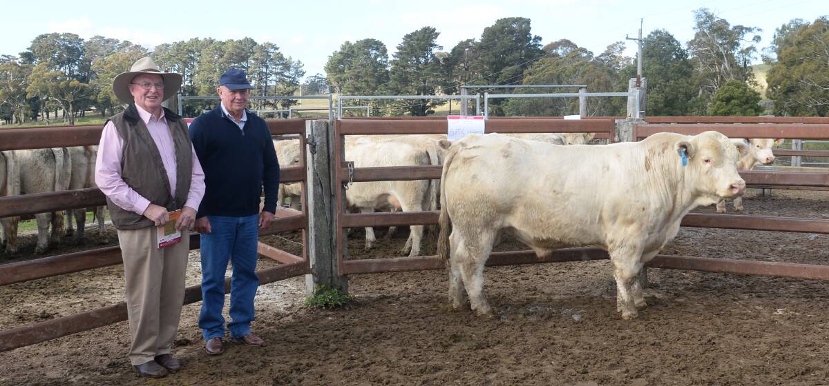 Violet Hills Charolais stud co-principal Daryl Jenkins with Mike Lawlor, Kilkenny Charolais, Taroom, Qld, and Mr Lawlors $15,500 top-priced purchase at the Violet Hills 11th on-property sale, Rydal.