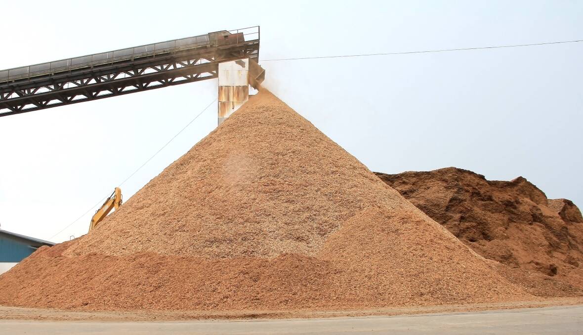 Wood waste converted to biomass at Redbank power station.