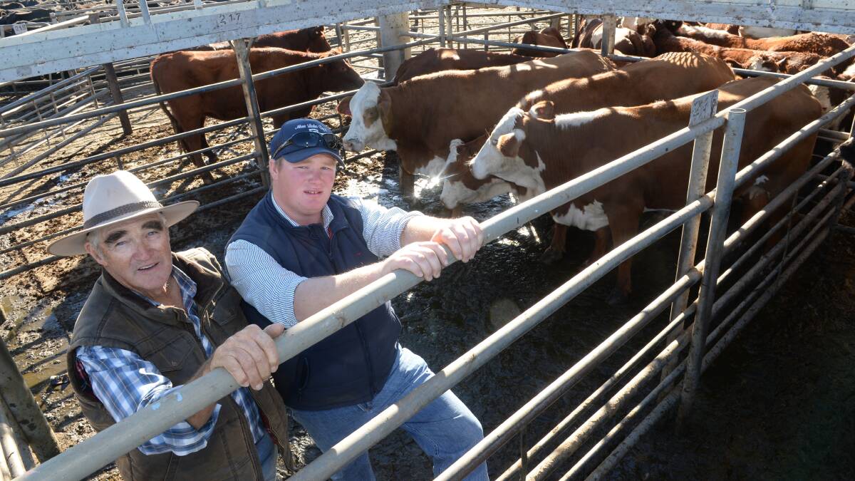 Vendors, Jim Chad and grandson, Keagan Size, Donrinda Brafords, "Tara", Dubbo, sold four Braford cows, PTIC to Braford bulls for $1500 each.