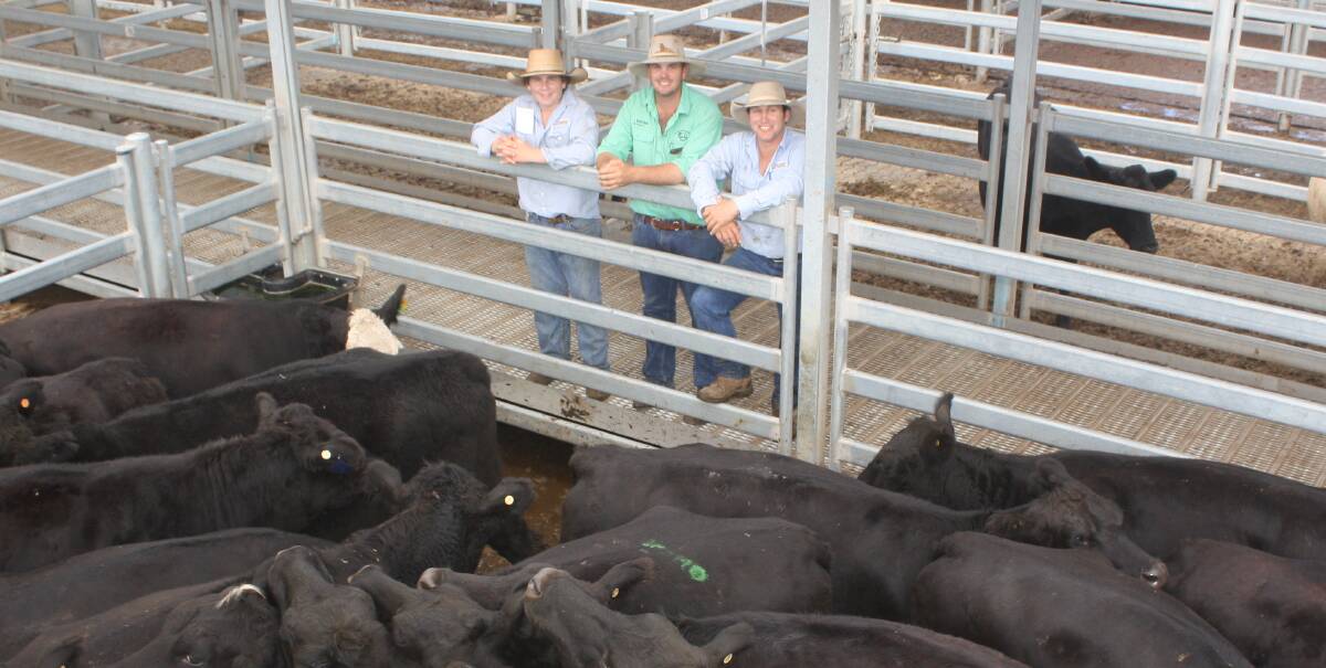 Jordan Rhodes, Nutrien Milling Thomas, (centre) with Joe Sinclair and Justin Sanderson, Richarson and Sinclair, with $1930 Angus/Hereford cross cows at Dubbo .