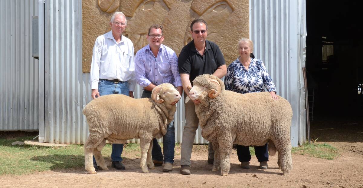 The Blewitt family of Briarlea stud, Williamsdale, bought two Grathlyn rams privately on sale day last Thursday. At left is Arthur Blewitt; Andrew Rayner, Grathlyn stud holding $5000 ram, Robert and Frances Blewitt with their $10,000 purchase.