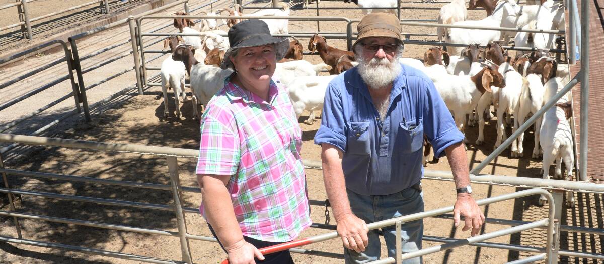 Robyn Ewards and Ray Kelly, "Hilltop", Arthurville near Wellington, sold seven Boer wethers at $108 each to Gillian Star, Carathool, and another 16 wethers at $60 each.