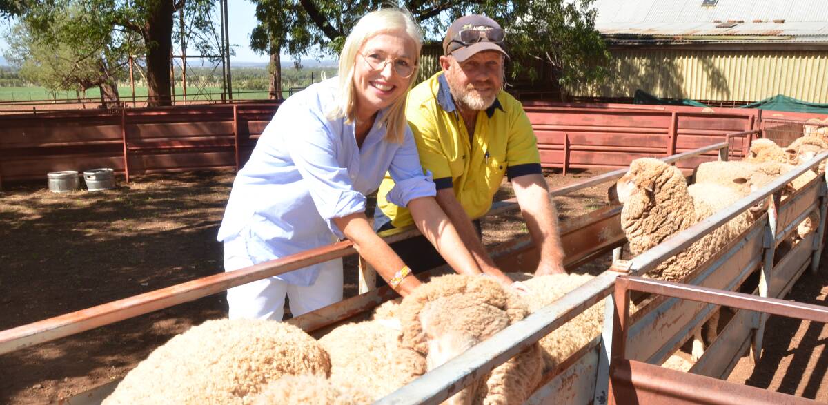 AWI chair, Colette Garnsey, inspects maiden ewes with Andrew Hood, Cherry Garden, Parkes, which were placed second in the Central West zone after winning the Parkes Merino Ewe Competition.
