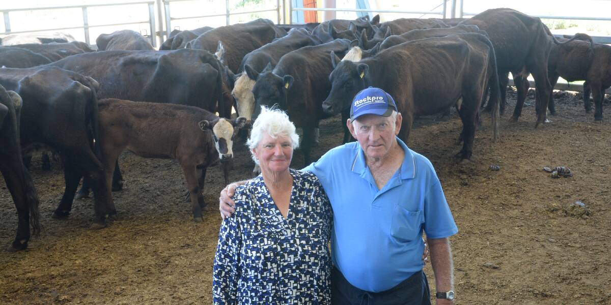 Glenda and Jeff Bowerman, "Lanea", Gooloogong, with some of their 30 Santa Gertrudis/Angus mixed-age cows with Angus-cross calves selling to $1770.