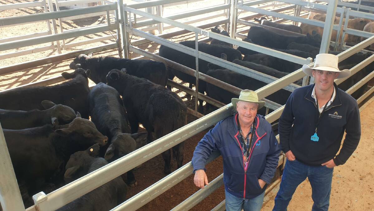 Barry Pratten, Red Rock, Dungowan, with agent Mitchell Swain, McCulloch Agencies, Tamworth. Mr Pratten's lead pen of crossbred weaner steers, seven to nine months, topped at $1290 for approximately 260kg.