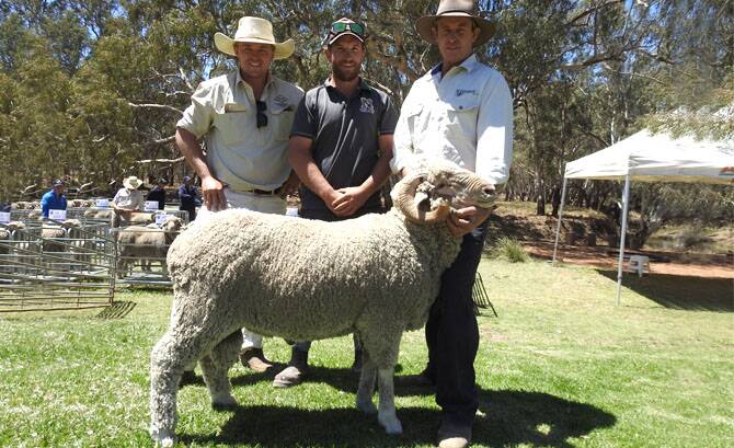 Bundemar clients buy all rams for $1500 ave