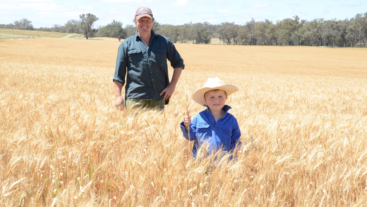 Matt Mason in his Kittyhawke grazing wheat paddock with son, Geordie, 5, at Spicers Creek, where 770 lambs returned $2173/ha and when harvested is expected to return 2.7t/ha equalling close to an additional $1000/ha.