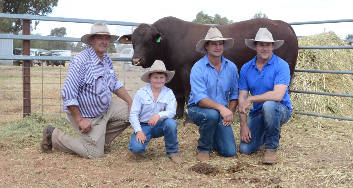 Dennis, Will and Greg Moxey, Denngal stud, Forbes, with buyer Andrew Bassingthwaighte, Yarrawonga, Wallumbilla, Qld, and his $18,000 purchase.