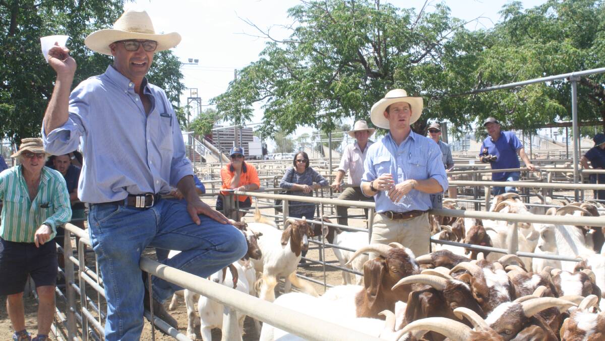 Joe Portelli and Tim Beach of PT Lord Dakin and Associates, Dubbo, selling during the sale.