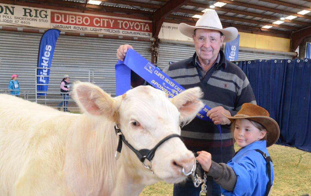 Olivia Dimmick, 9, Wellington, holds the winning silver calf steer weighing under 375 kilograms, Myona Pig, sashed by Terry Griffin, Temana stud, Baradine.