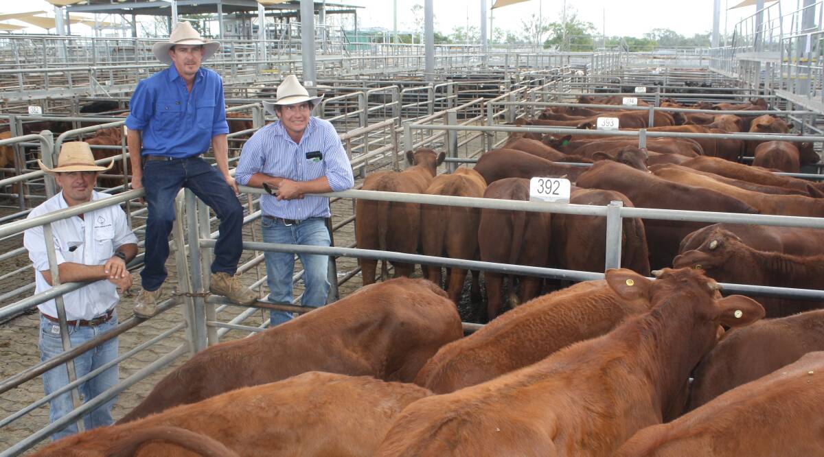 John Lindsay, Carter Lindsay and Weber, Dubbo with Yeoval vendors Alexander Robinson and Peter Atkinson, Wonga, Yeoval, and PTIC heifers that made from $1760 to $2510 a head. Photo by Rebecca Cooper.