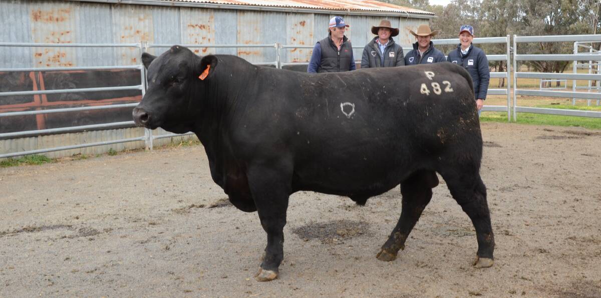 The $12,000 top-priced Choice P482 with agent, David Simpson, Elders Bathurst, vendor Tim Brazier, buyer Hamish Thompson, Belang, Coolah, and Becc Brazier.