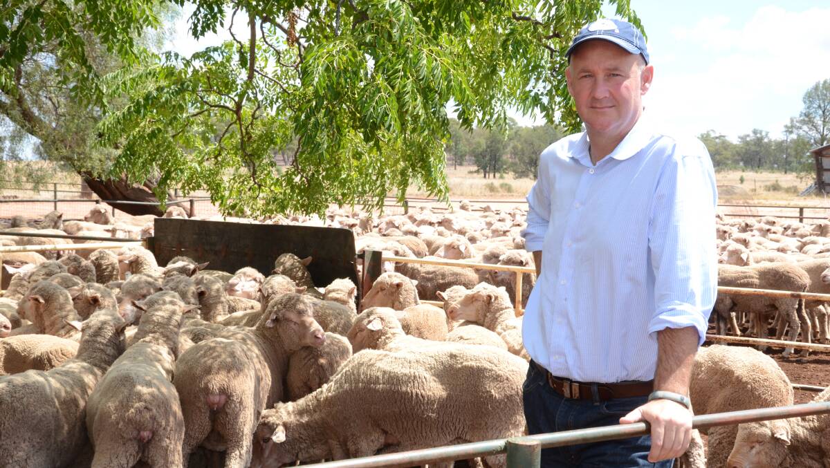 Australian Wool Innovation CEO Stuart McCullough at a Don Brown Condobolin competition property.