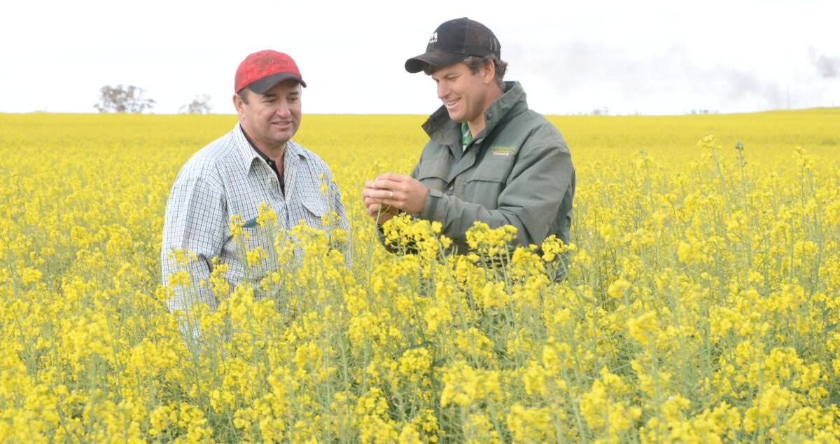 Ian Medd and his agronomist, Tim Sawley, Landmark Townsend, Merriwa (also on our front cover) inspect canola growth on Cavan, Merriwa.