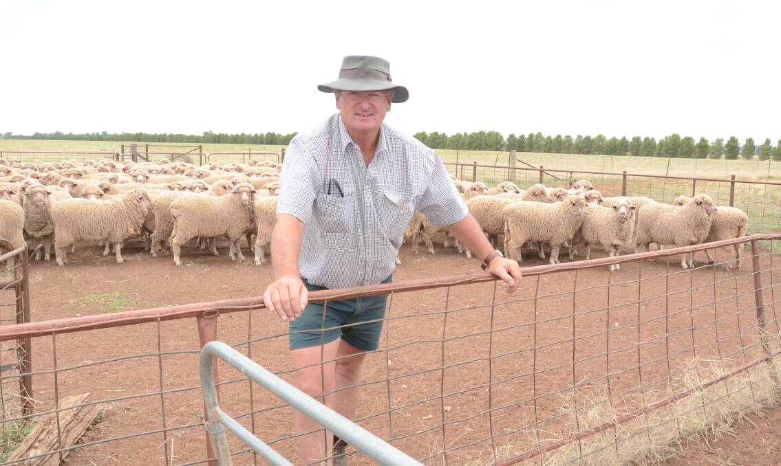 John Staniforth, "Norwood Park", Tallimba, among his maiden ewes of Laurel Park blood which are classed by Michael Elms. The ewes won the West Wyalong Merino Maiden Ewe Competition contested by seven flocks.