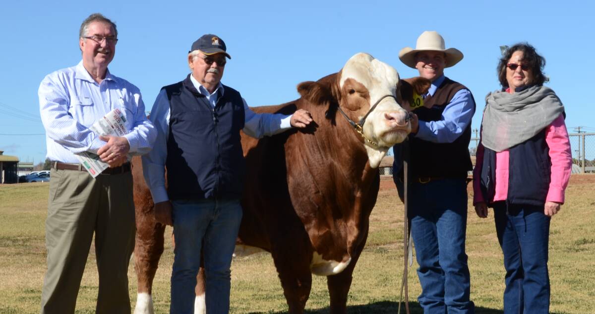 Peter Morley, Boomey Park, Molong, paid $12,000 for the reserve senior bull, Springside Nano Man, sold by Peter (left) and Toni Rauchle, Springside stud, Pittsworth, Qld.
