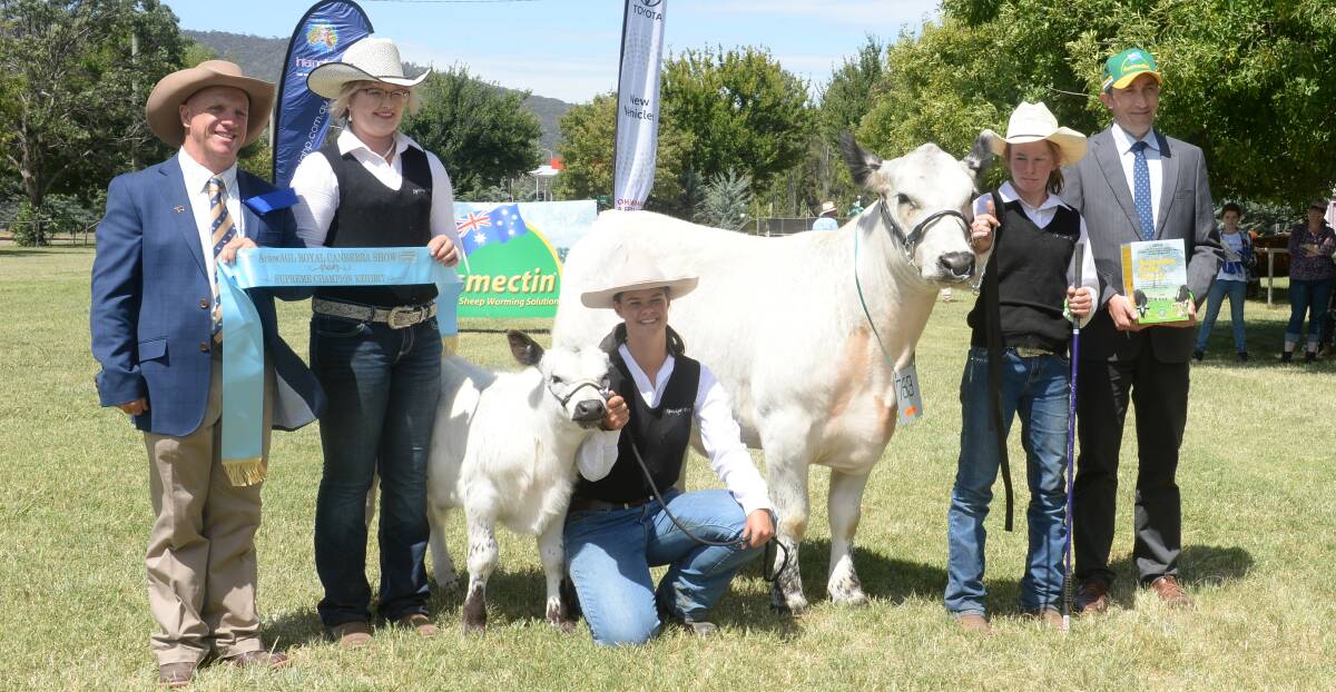 Simmental judge Steve Carter, Blackjack Shorthorns, Tumut, with supreme Speckle Park exhibit Victorian L11 Melissa Q90 with Angela McGrath receiving the sash while Breanna Holmes holds the calf and Lucy McGrath holds the champion while Ben Lawrence, Ausmectin, Sydney presents trophy. Q90 was exhibited by Samanthta and Nigel Noble, Tumut.