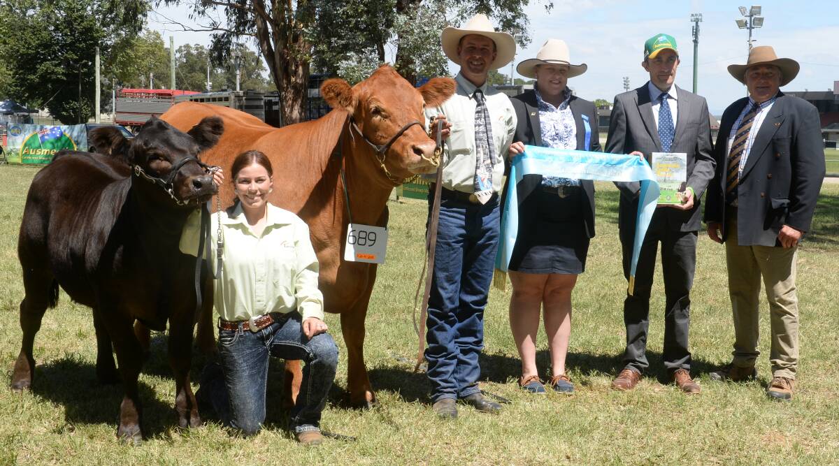 Supreme Limousin exhibit was the senior and grand champion female, Progress Perfect Storm P5 held and exhibited by Peter Kylstra of H&L Livestock and Progress Limousins, Jerrabon. Holding the calf is Olivia Dury while associate judge, Emily Polson,Yass, Ben Lawrence of Ausmectin, Sydney and judge Peter Cook, Barana stud, Coolah.