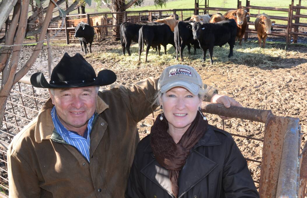 Bald Ridge Wagyu stud principals Rick and Dawne Hunter were ecstatic at the success of their inaugural sale at "Kaludabah", Mudgee, last Thursday. Buyers came from Queensland, Bourke, north to Bingara and south of Orange.