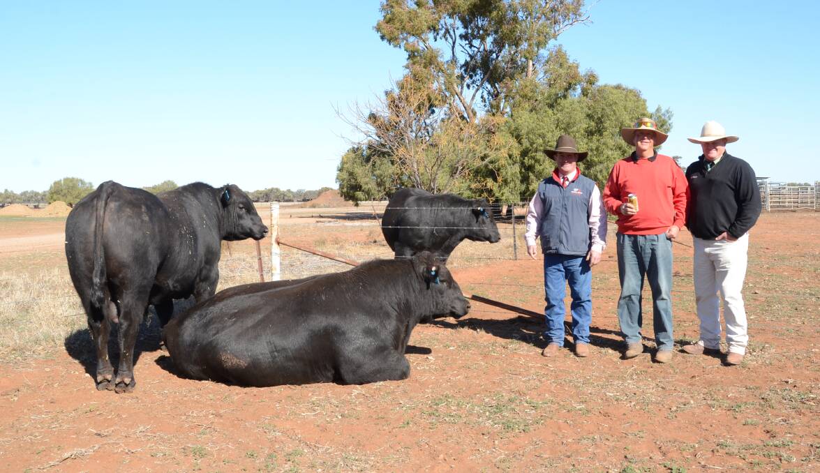 Waitara co-principal, Steve Chase, with buyer of these three bulls for a $7333 average, Steve Thomas, "Gowang", Coonabarabran, and auctioneer John Settree, Landmark stud stock, Dubbo.
