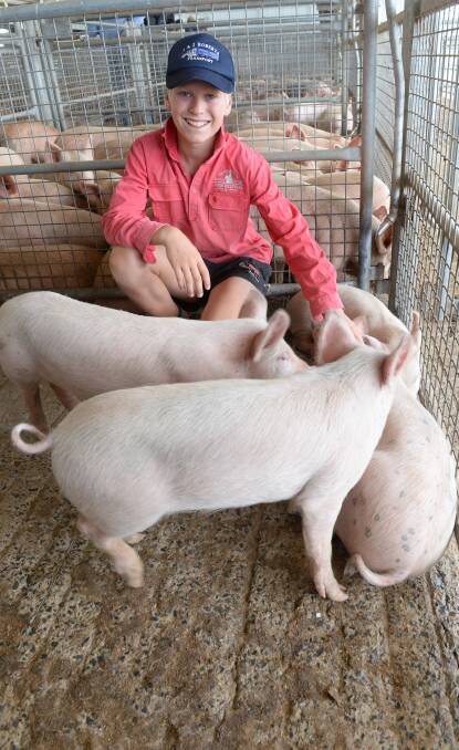 Ruben Gill, "Strathallyn", Narromine, with his draft of five Large White weaners. Sales on the day were back in price of the previous fortnight.     Rachael Webb photos.