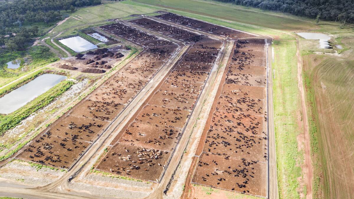 Through its grass-fed production and its Gunyerwarildi feedlot at Warialda, Ceres turns off about 100,000 head of cattle a year and has also gained certification for a free-range beef brand.