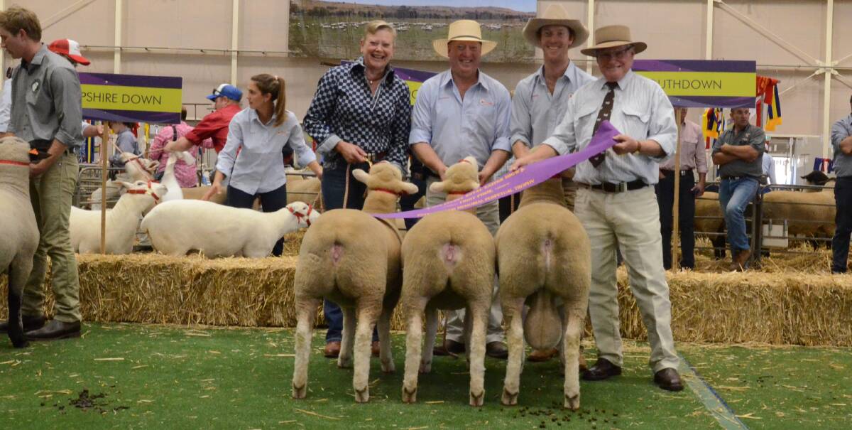 Tattykeel's Poll Dorset group winners of the Peter Taylor Memorial Perpetual Trophy. Holding sheep are Kirsty, Graham and James Gilmore with Kelvin Cronk, Kaybunda, Old Junee, sashing.