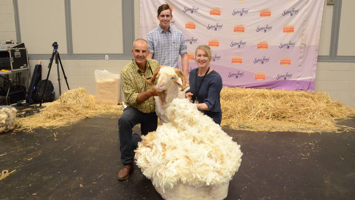 Garry and Donna Kopp and son, Shaun, with their ram that cut 18.8kg of 21 micron wool to return a total of $282.58 with the skirted fleece valued at $224.99.