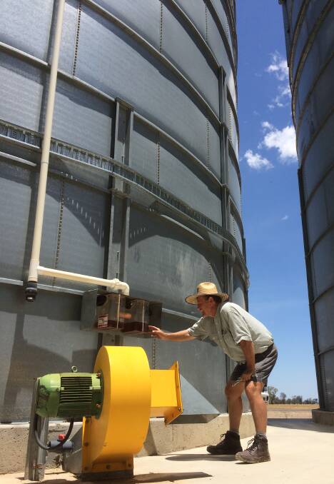 Silo aeration and cooling keeps seed in best condition for germination and vigour while preventing weevil infestation. Qld AgriScience researcher at Hermitage Research Philip Burrill checks ventilation and cooling at a silo.