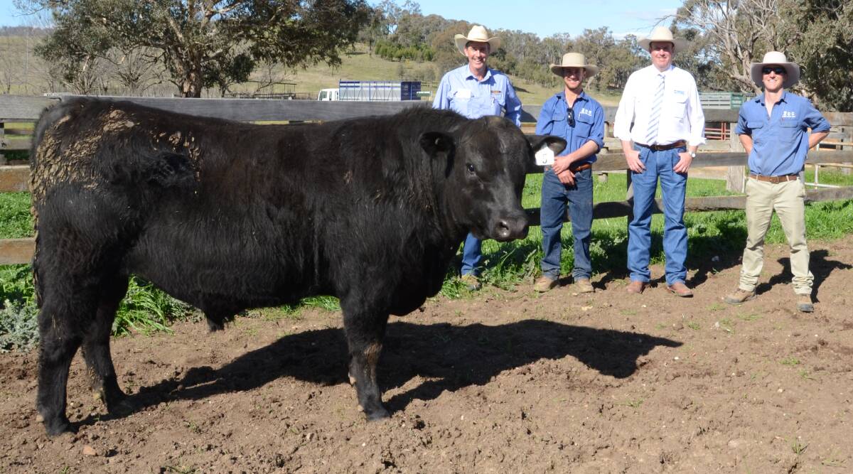 Coffin Creek L18 topped the fifth annual Coffin Creek sale, Mudgee. today at $16,000 when 31 bulls (total auction clearance) averaged $9032. Pictured is Bill Lawson, McDonald Lawson, Mudgee' Harry White, Coffin Creek; guest auctioneer Paul Dooley, Tamworthm and Jack White of Coffin Creek.