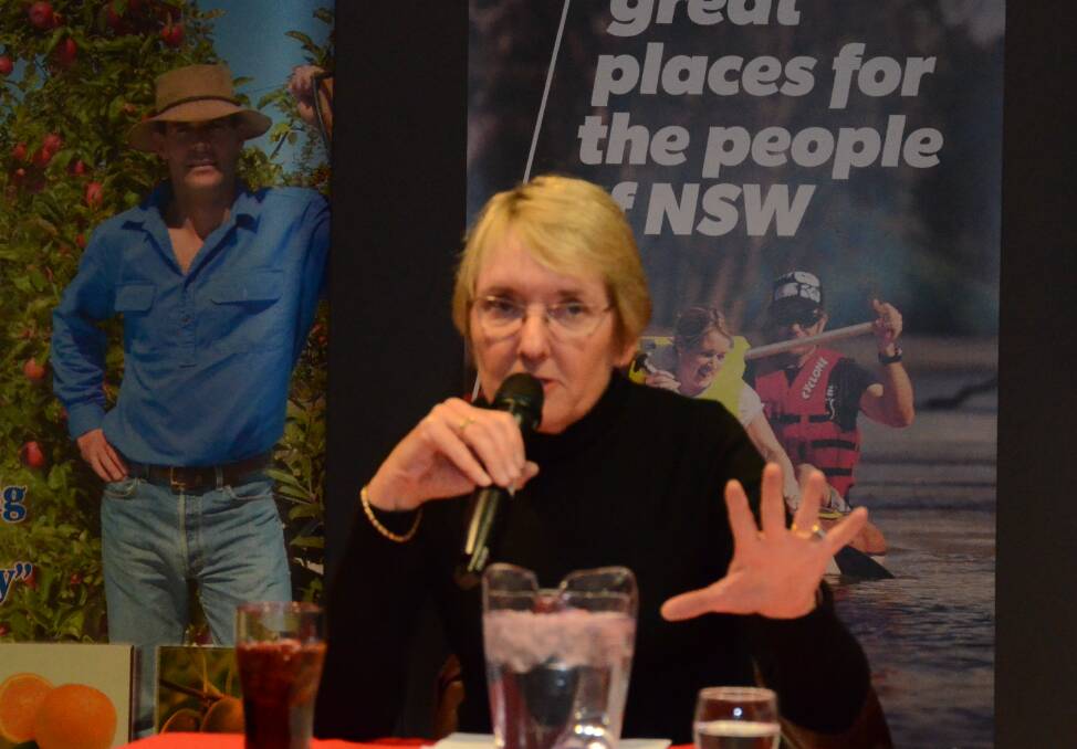 HOME BASE: Panellist Tracey McIntyre of Regional Development Australia Orana, Narromine says migrants are important for the growth and ongoing viability of rural communities.