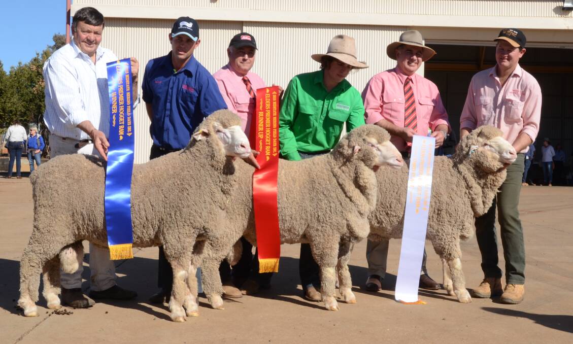 Poll Merinos dominated the first three placings of the Elders Premier Hogget Ram award at the 2018 Midstate Merino Field Day at Dubbo TAFE. Pictured is judge, Wally Merriman, Merryville stud, Boorowa, and chairman Australian Wool Innovation, sashing the winner, held and exhibited by Blake Cannon, Westray stud, Peak Hill; Elders Sheep Specialist, Scott Thrift, Dubbo, sashes second place held and exhibited by Shaun Kopp, Towalba stud, Peak Hill; while Bruce McLeish, Elders Northern Zone Wool Manager, Warwick, Qld, sashes third place held and exhibited by Midstate group president, Stuart McBurnie, Weealla stud, Balladoran.