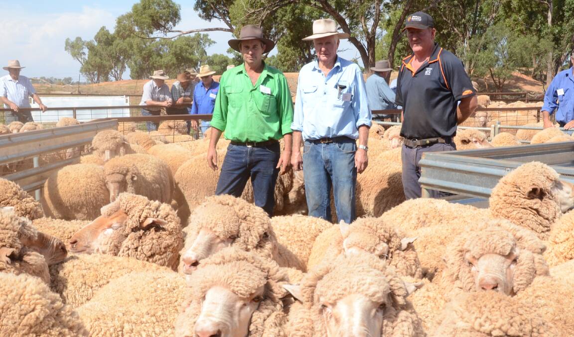 Murtonga Pastoral's classer and ram supplier, Tom Kirk, Bundemar stud, Condobolin, among the winning maiden ewes of the Don Brown Merino ewe competition with owners, Allen and Peter Stuckey, "Homesworth", Condobolin.