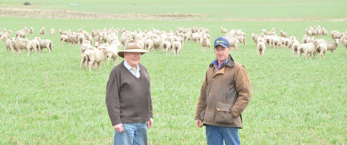 John Bestwick and Tom Roberts with some of the 630 Merino ewes Mr Roberts bought at $130 a head from Western Australia. The ewes stopped at the WA/SA border for 48 hours before finishing the trip for an all-in cost of $31 a head.