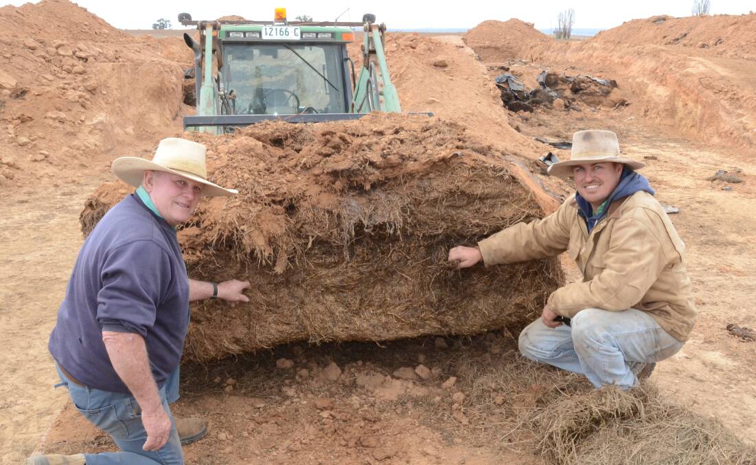 Brian Bowman and son, Andrew inspect the bales of rye grass and lucerne hay just dug out of a silage pit Mr Bowman put in at "Shingle Hut", Dunedoo, when Andrew was just 10 years of age in 1996.