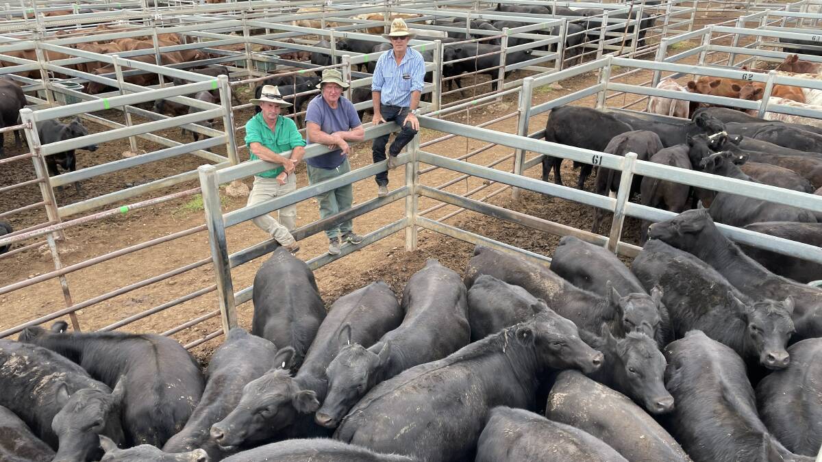 Rob Lee and Lyall Woods, both of Lambing Creek, Hargraves, with agent Mark Sheehan, PT Lord, Dakin and Associates, Dubbo. Mr Woods sold 10- to 11-month-old Angus weaner steers for $1870/head at Dunedoo.