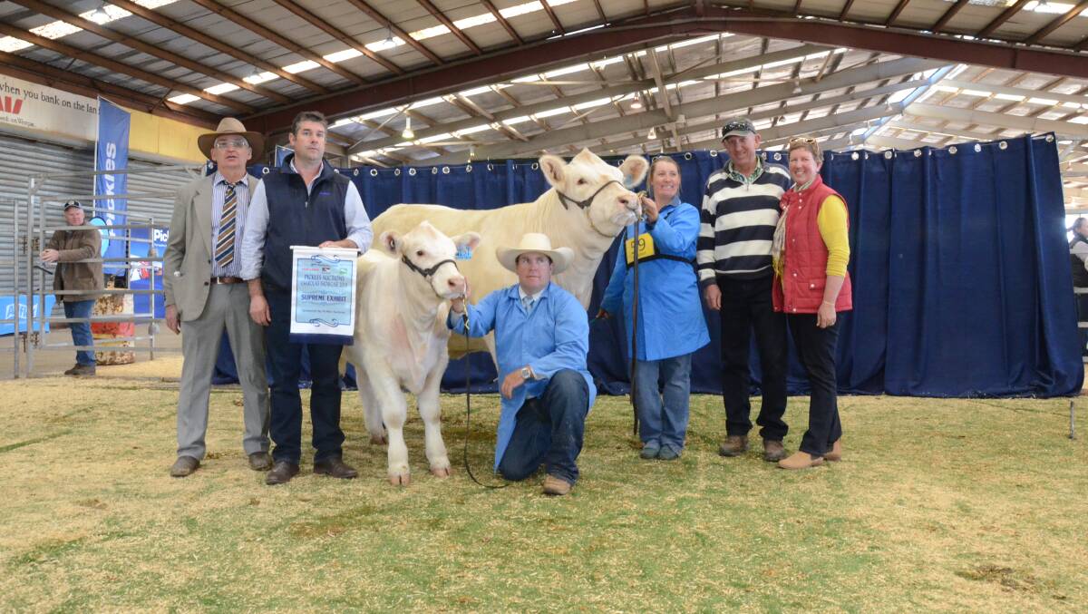 Supreme exhibit, senior and grand female, Wakefield Amaze 38, shown by Jenny and Greg Frizell, Wakefield stud, Wollomombi, (right), held by Nigel and Casey Wieck. At left is judge, Gary Wilkinson, Binnaway, and Tim Shaw, Pickles Auctions, Dubbo.