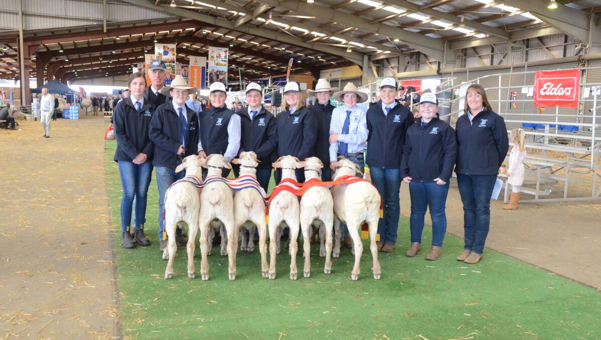 Red Bend College took out top honours for the second year in a row as well as third place in the overall point score at the 2019 Schools Merino Wether Challenge.