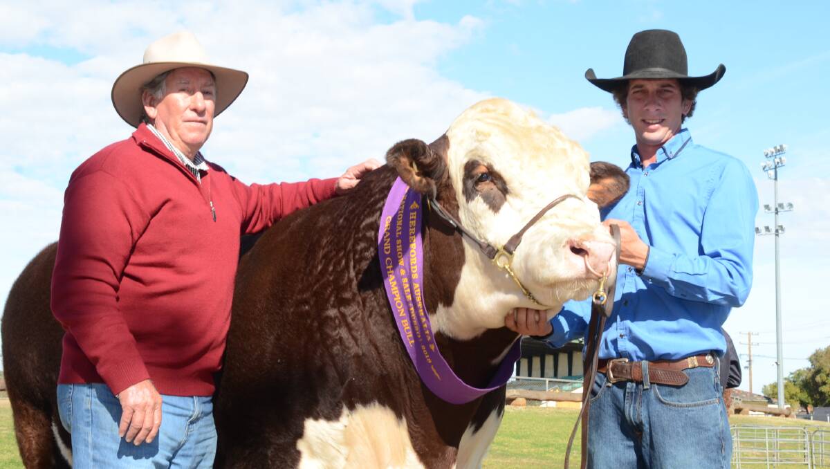 Malcolm Leader, "Ringwood", Binnaway, paid $10,000 for junior and grand champion, Lachdale Mindblower M003 shown by first-time exhibitor Lachie Scurr, Texas, Qld.