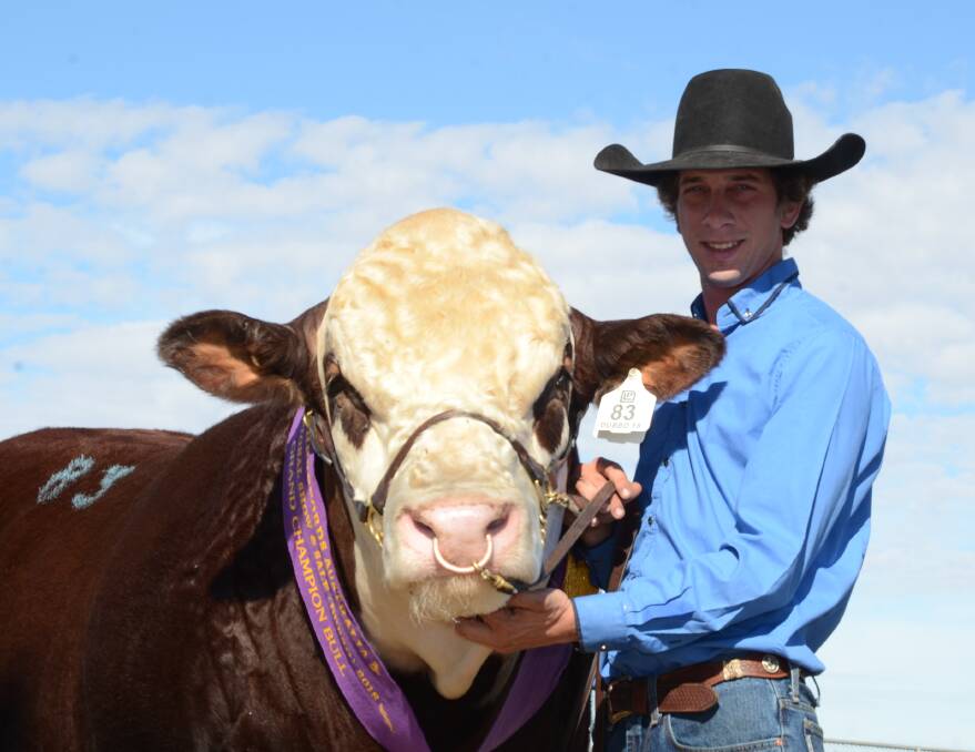 Lachie Scurr and sole entry, Lachdale Mindblower M003, was awarded junior and grand championships and sold for $10,000 to Malcolm and Denise Leader, Binnaway.