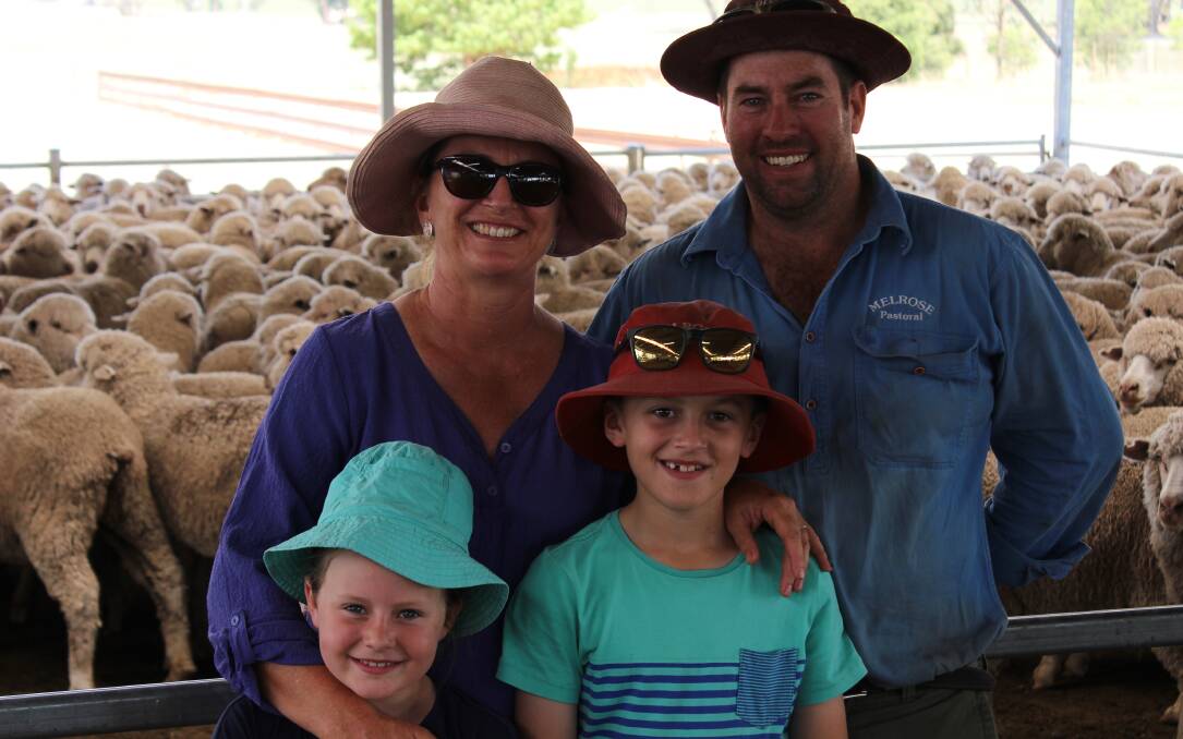 Sarah and Adam Wallace with children Lily and James undercover in their yards with Melrose bred maiden ewes penned for inspection at Wattamondara during the Mid Lachlan Merino flock ewe competition