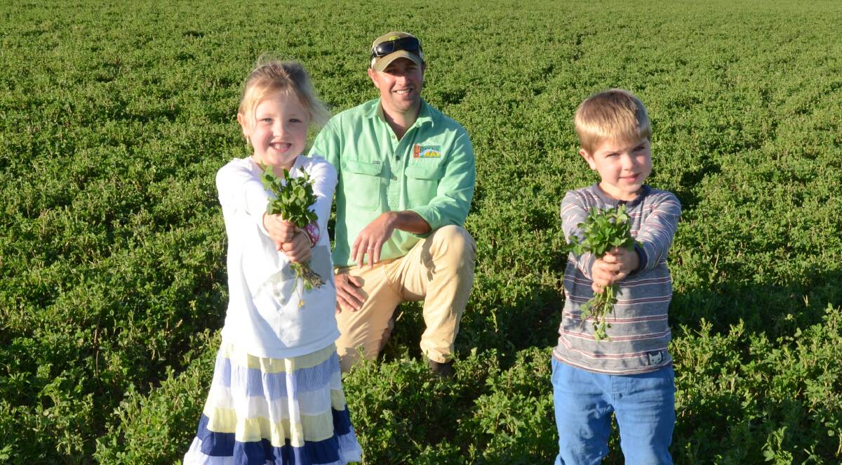 Michael Horton with daughter, Chloe 5 and her cousin, Patrick Angell, 5, show off Haymaster 7 lucerne in their Bell River flats at Wellington. After grazing and a clean up the paddock will yield five to six cuts by season's end.