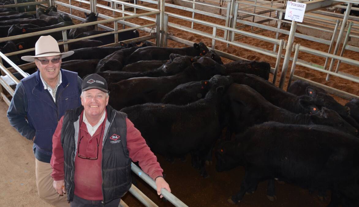 Wayne Dunford, “Lynton”, Gunningbland and his agent, Bill Dunn, Forbes Livestock and Agents, with the Dunford family’s top pen of Angus cross steers from “Narran Plains” Brewarrina, selling at $1200 a head. Heifers topped $1020.