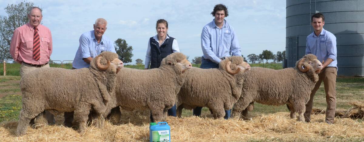 Ian Shaw, Whitefields Pastoral Company, Galong, purchased these four rams for a $4125 average including left the $8000 sale-topper. Pictured is auctioneer Paul Jameson, Elders, Dubbo, with Towalba stud's Warick Kopp, Kayla Kopp, Scott Chandler and Cameron Kopp. Mr Shaw was awarded the Beachport trophy.