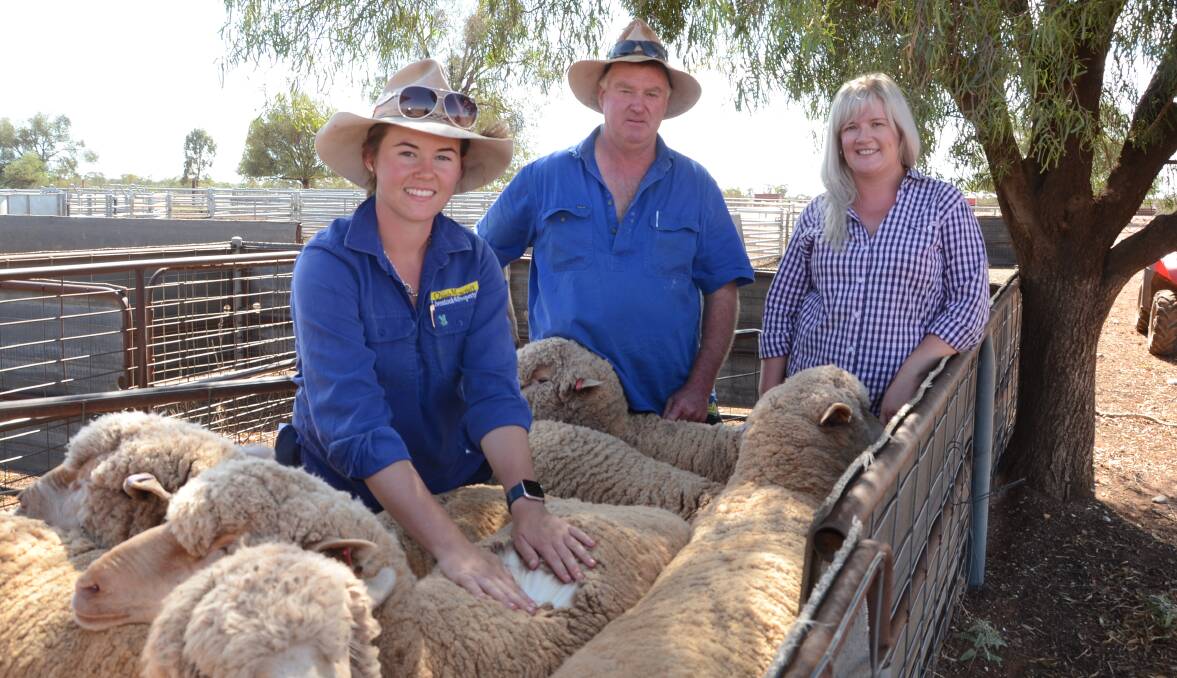 Emma Northey displays her maiden ewes with dad, Paul and Sally Stockman during the West Wyalong Merino ewe competition.