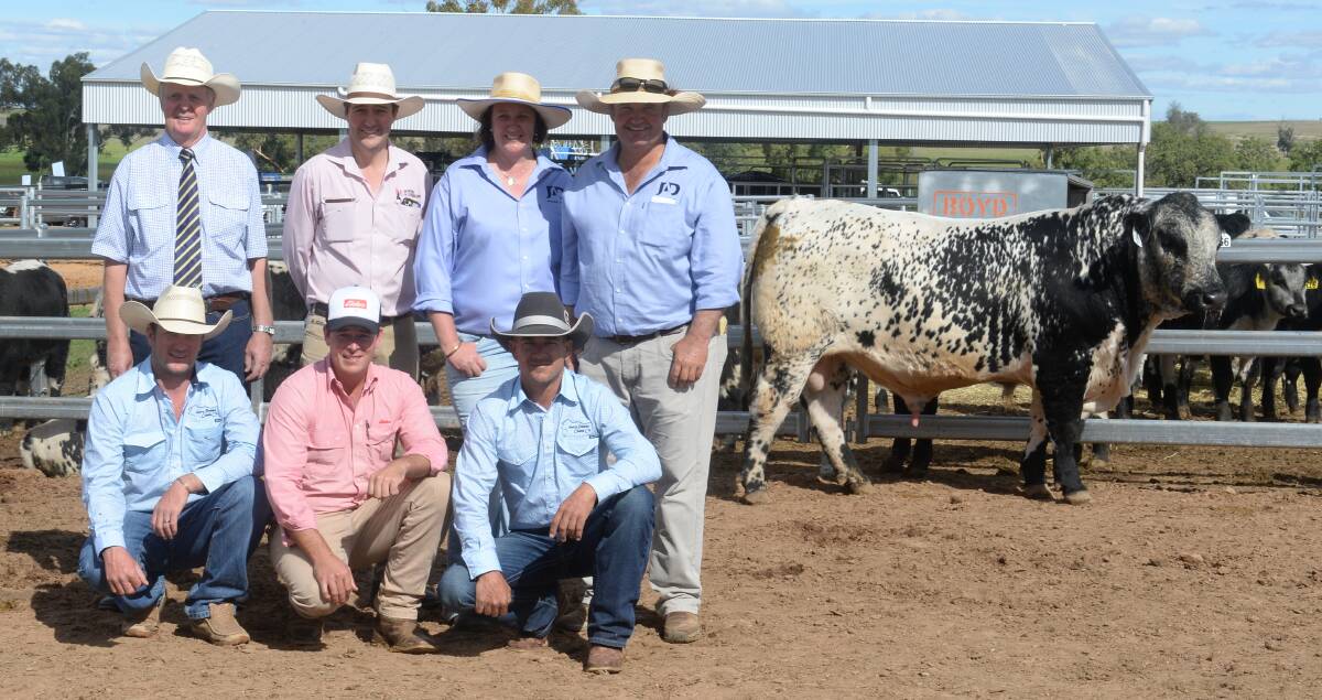 With the $34,000 equal top-priced bull (standing) guest auctioneer Brian Leslie, Dairy Livestock Services, Nick Fogarty, Bowyer and Livermore, Bathurst, JAD principals Amy and Justin Dickens, and buyers Ivery Downs Cattle Company's Dallas Coben and Dale Jones, Beaudesert, Qld, and agent Carl Young, Elders, Beaudesert.