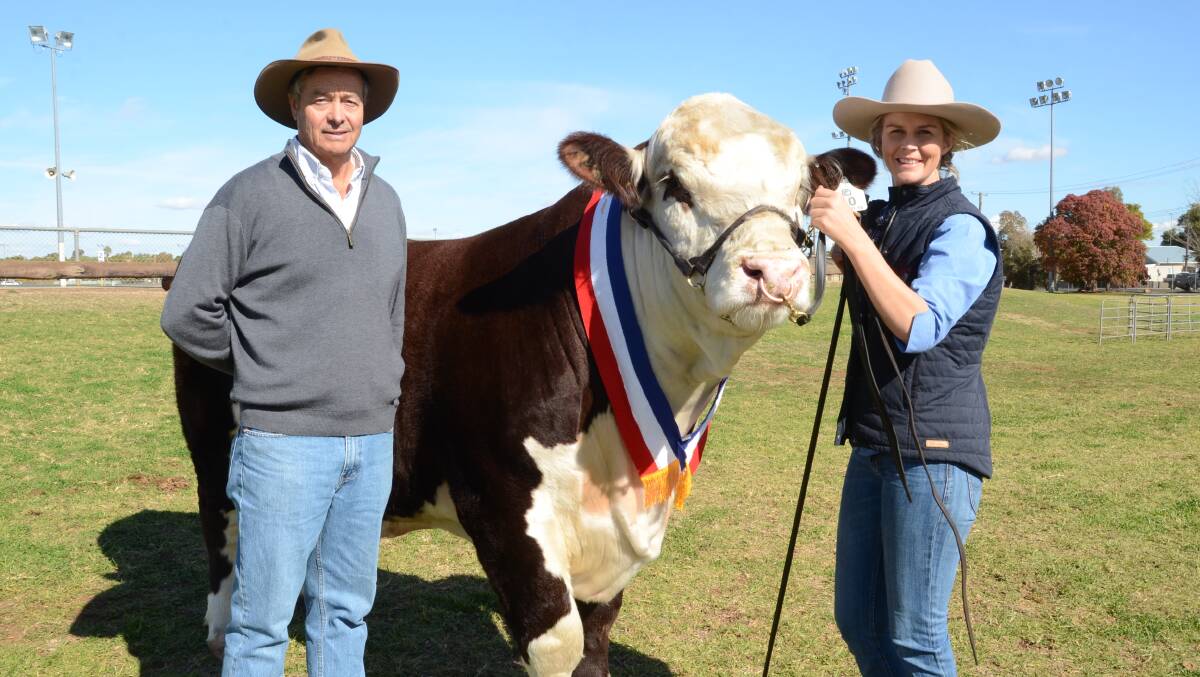 Charlie Merriman, Merrignee stud, Boorowa, paid $16,000 for senior champion, Rayleigh Magnum M9, shown by Rayleigh stud and held by Sarah Holcombe.