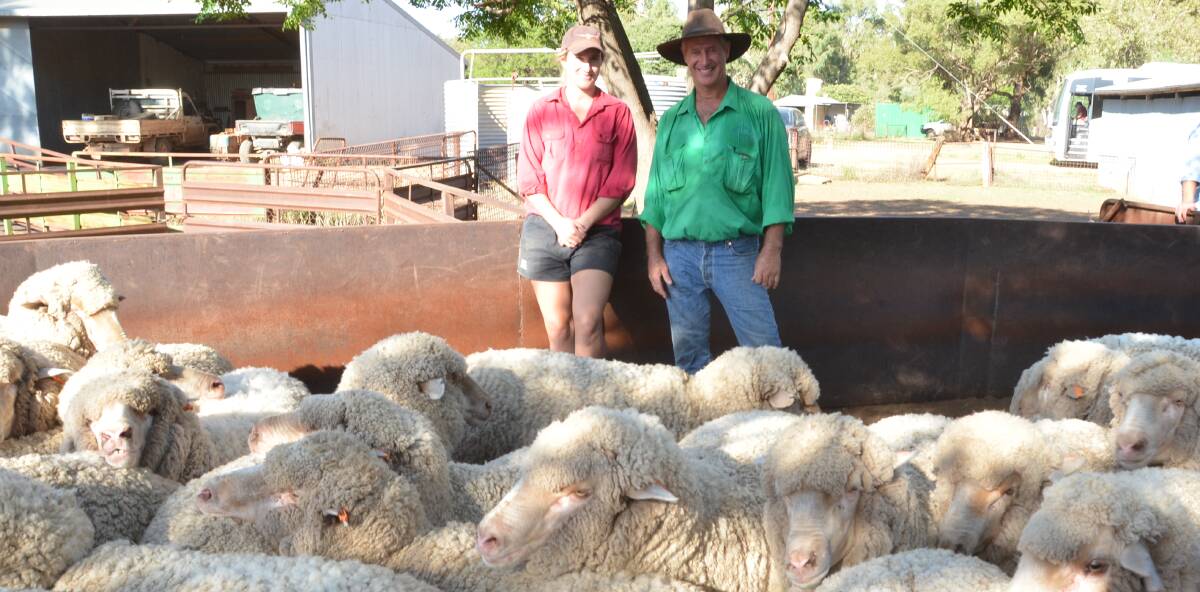 Meg Crouch and her father, Phillip, among their Karu blood maidens which were the runner up flock this year.