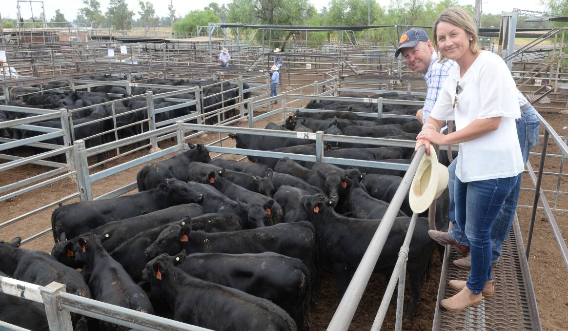 Scott and Bec Pickette, Ulamambri, Coonabarabran, sold 90 Angus steers Booroomooka and Dulverton blood, 264kg average, fetched average 267c/kg returning average $706.